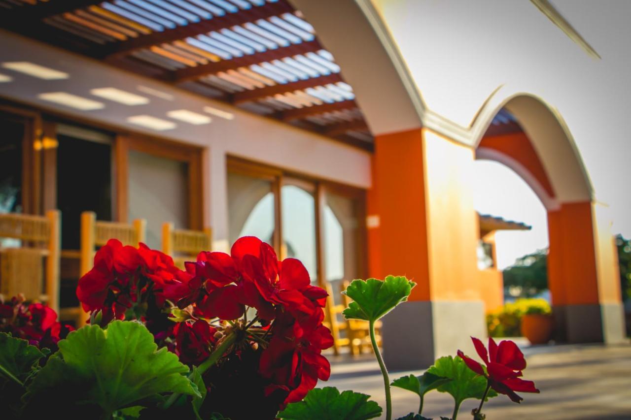 Monteverde Boutique Hotel パカズマヨ エクステリア 写真