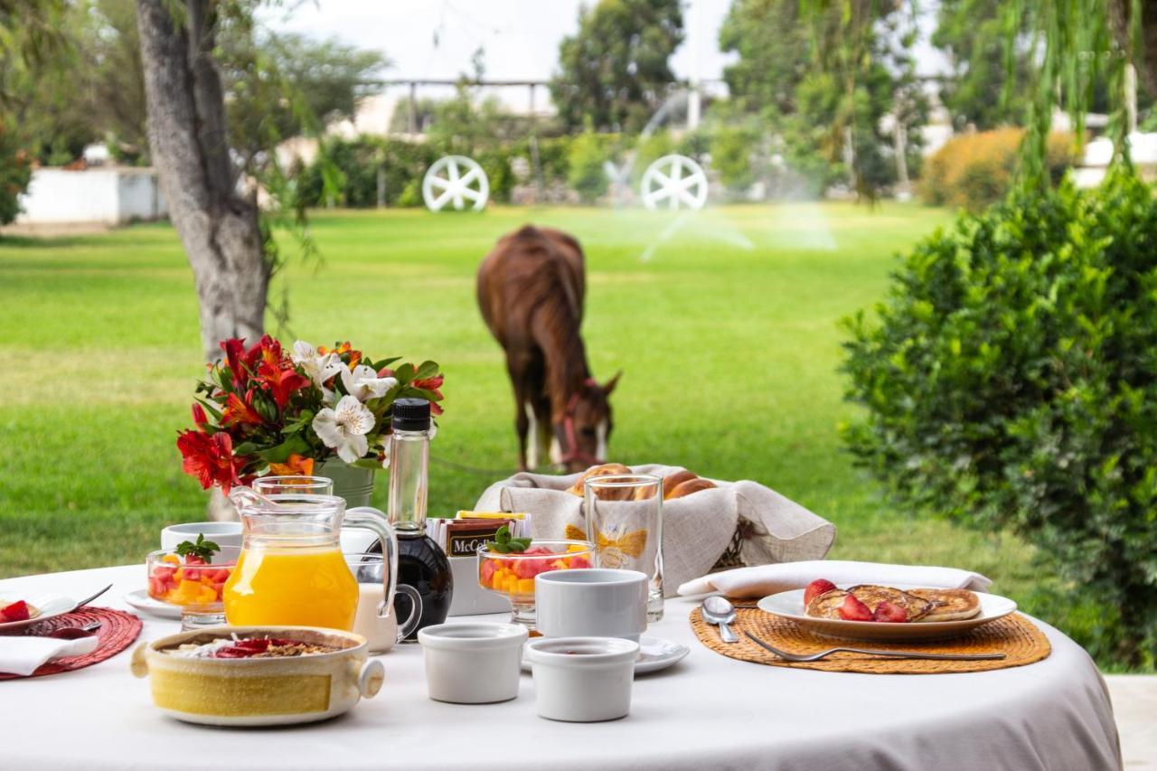 Monteverde Boutique Hotel パカズマヨ エクステリア 写真