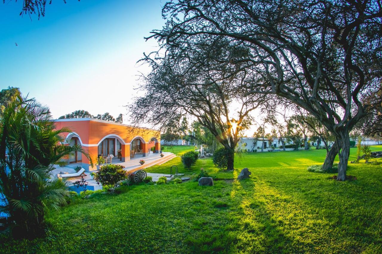 Monteverde Boutique Hotel パカズマヨ エクステリア 写真